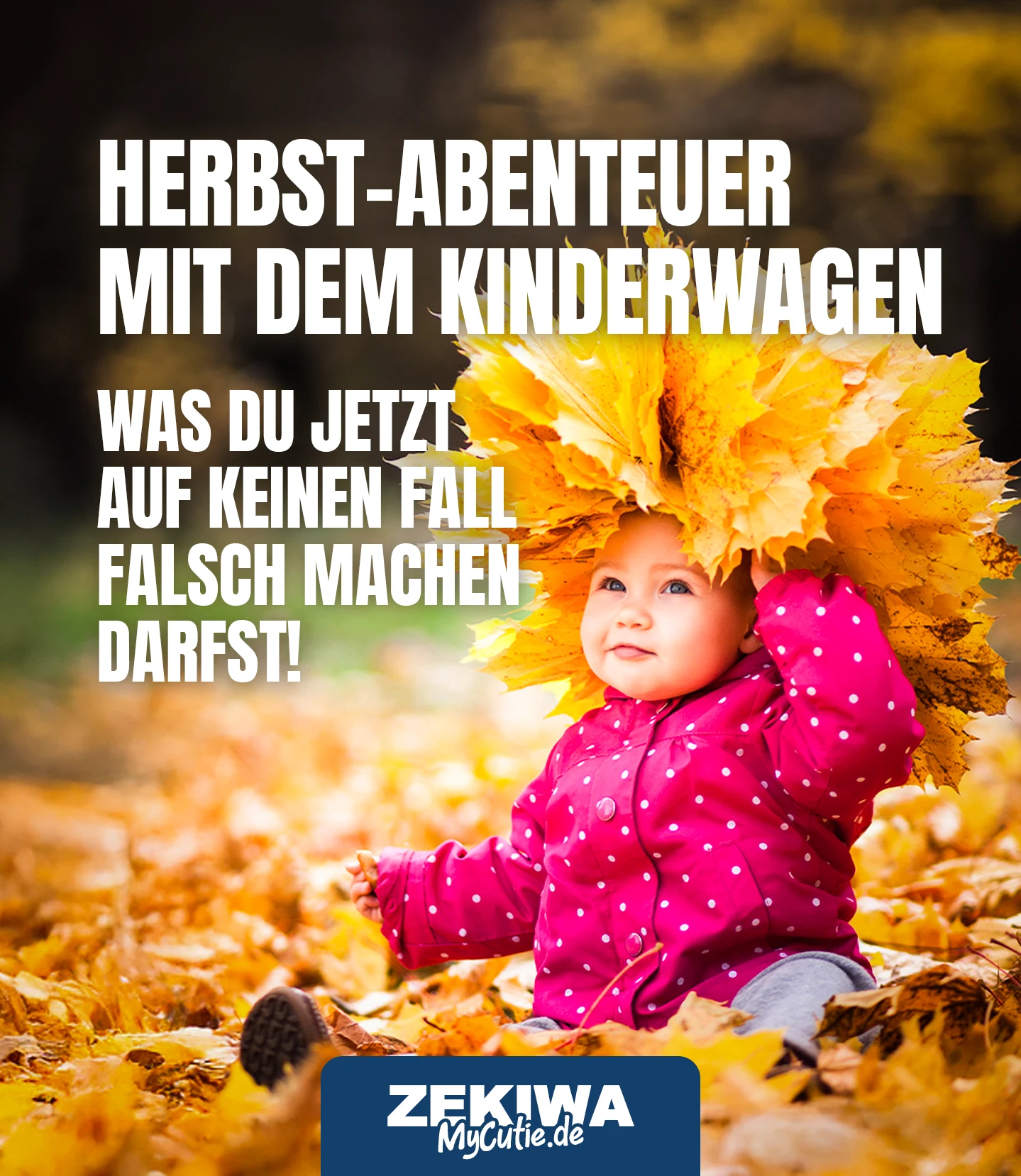 herbst-abenteuer-mit-dem-kinderwagen_(1)
