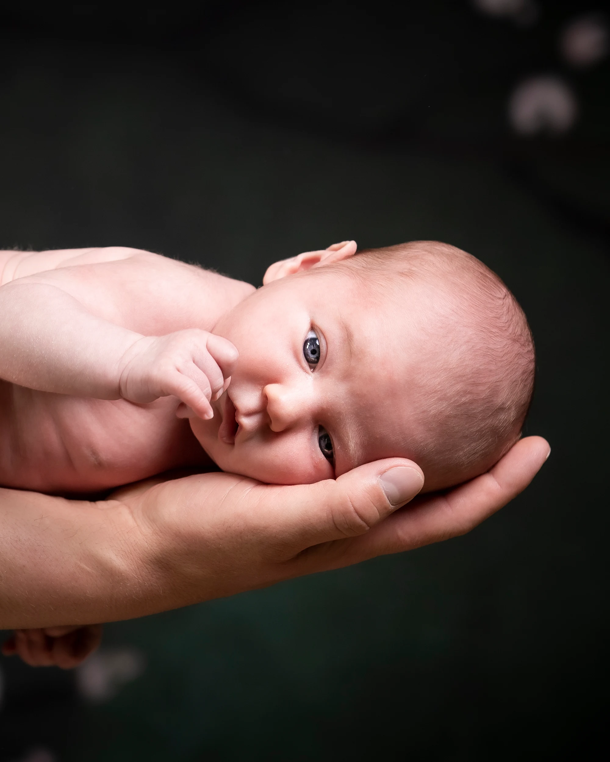 Jetzt ZEKIWA Kinderwagen kaufen und ein Baby-Fotoshooting im Wert von 279 € gratis sichern – 2,5 h Shooting, 50–100 Fotos in Top-Qualität!